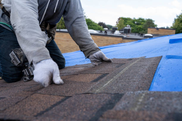 Roof Insulation in James Island, SC